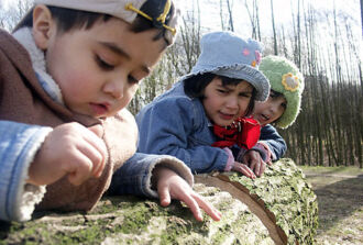 Drei Kleinkinder beschäftigen sich mit ein Holzstamm im Freien.
